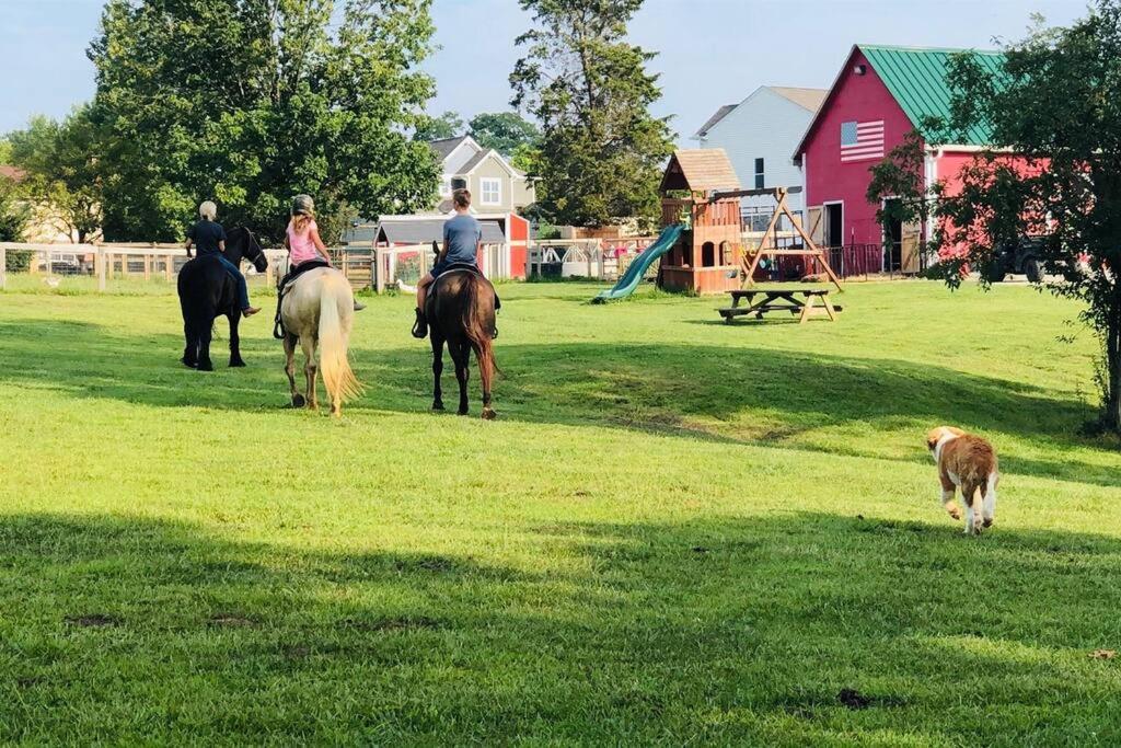 Beautiful Equestrian Estate Home W/ Hot Tub! Loveland Esterno foto