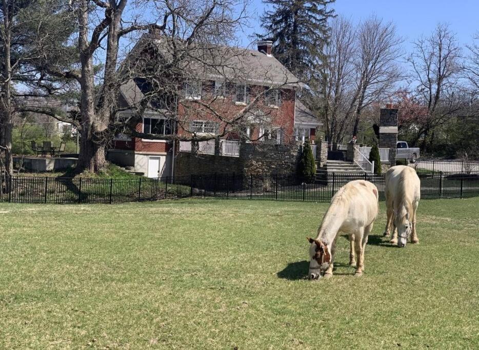 Beautiful Equestrian Estate Home W/ Hot Tub! Loveland Esterno foto