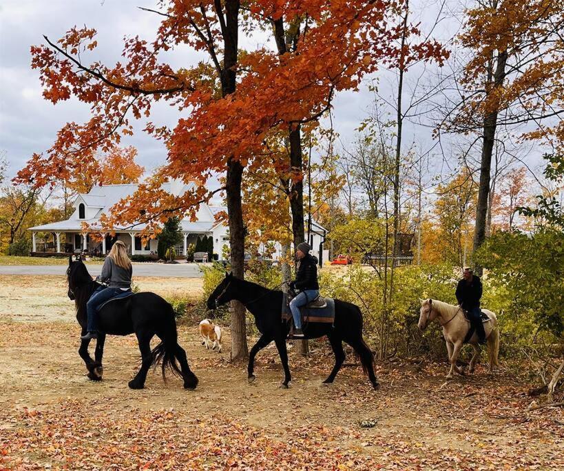 Beautiful Equestrian Estate Home W/ Hot Tub! Loveland Esterno foto