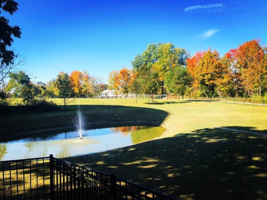 Beautiful Equestrian Estate Home W/ Hot Tub! Loveland Esterno foto